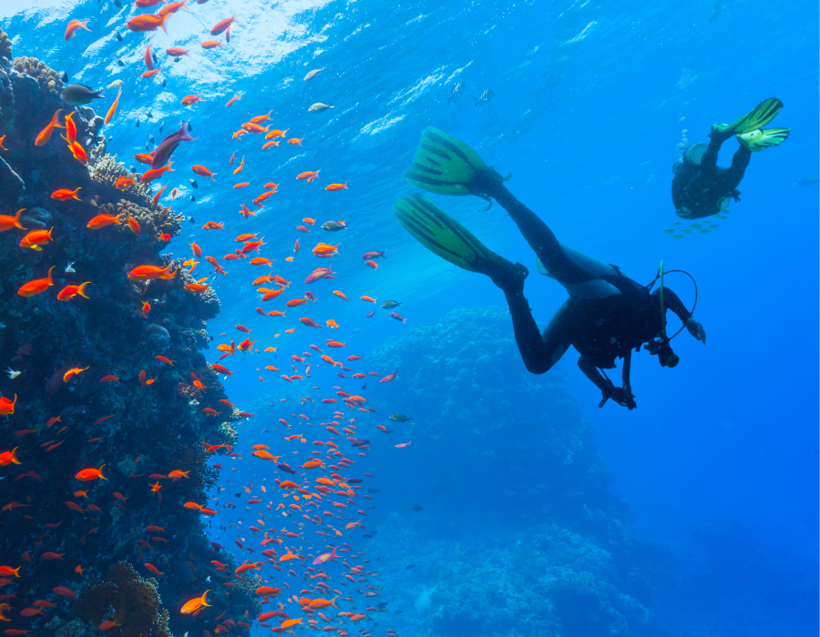 Diving
